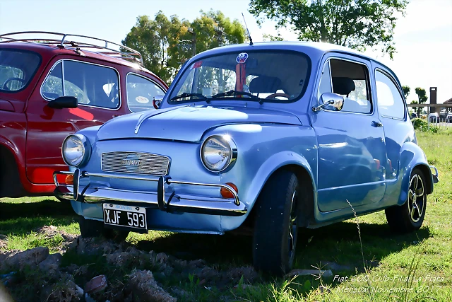 DSC_0438 DSC_0438