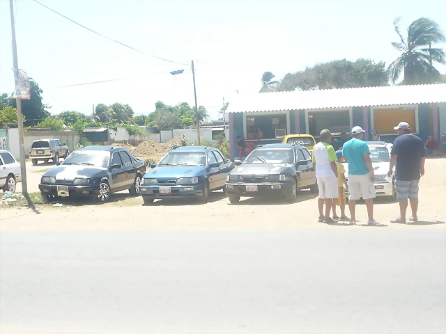 P1000443 P1000443