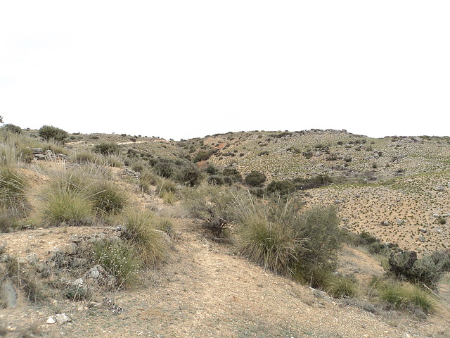 DSC00024 DSC00024