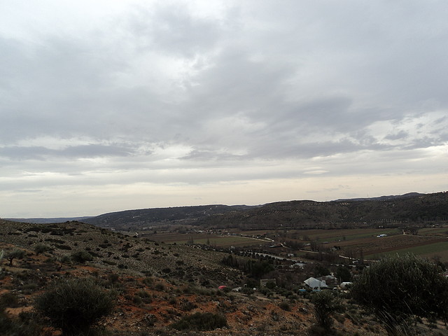 DSC00020 DSC00020