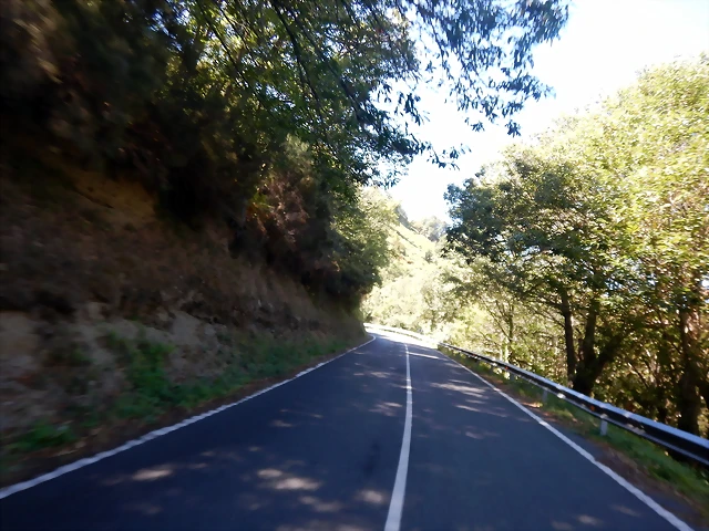 DSCN0223 DSCN0223