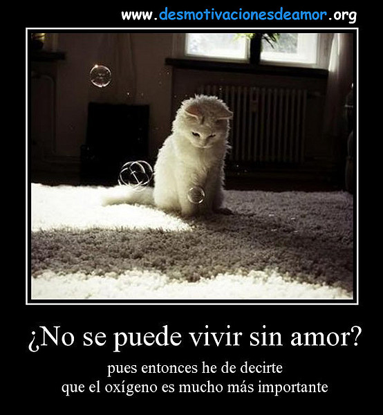 no-se-puede-vivir-sin-amor-desmotivaciones-de-amor-falso no-se-puede-vivir-sin-amor-desmotivaciones-de-amor-falso