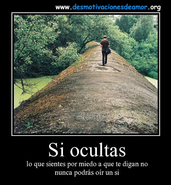 si-ocultas-lo-que-sientes-desmotivaciones-de-amor-imposible si-ocultas-lo-que-sientes-desmotivaciones-de-amor-imposible