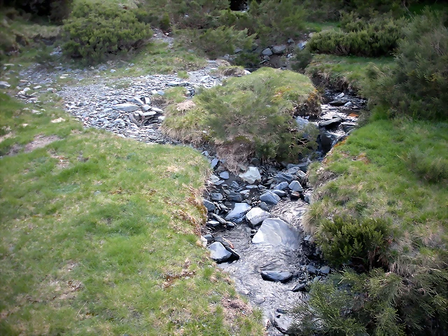 DSCN5131 DSCN5131