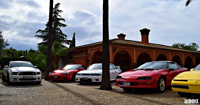 DSC_0852 DSC_0852