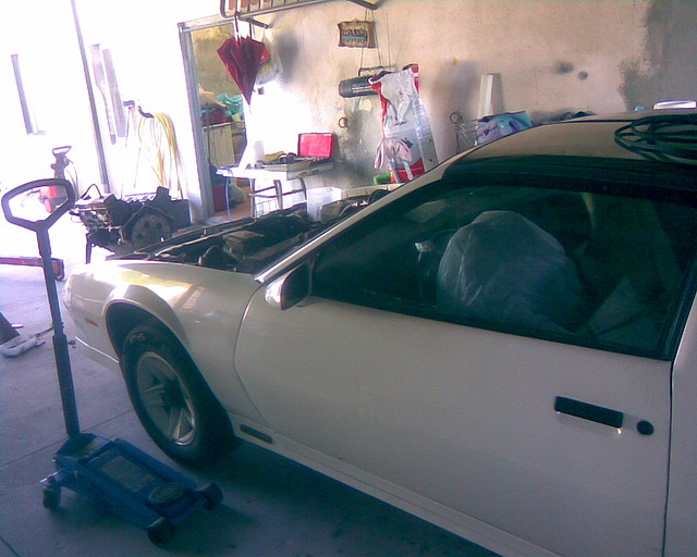 Z28.8 Z28.8