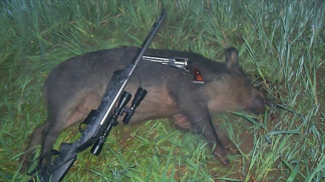 Jabali Ruger Jabali Ruger