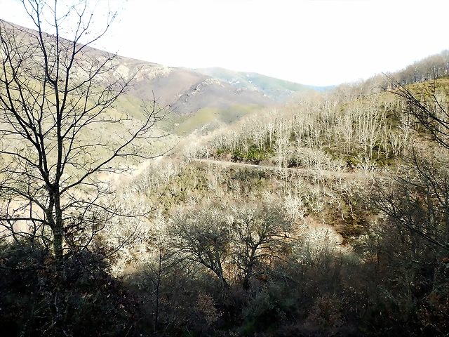 DSCN3259 DSCN3259