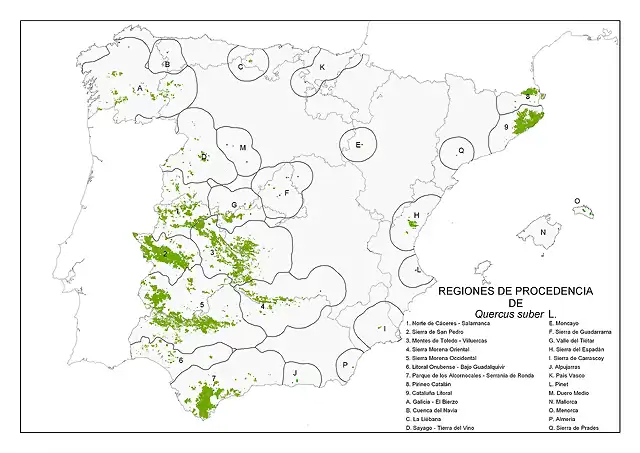 map_Quercus_suber_tcm7-285945