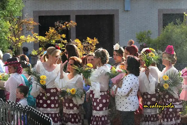 16, ofrenda de flores, marca