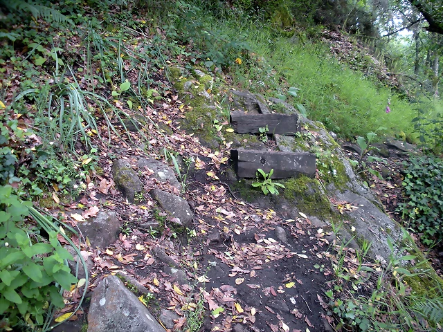 DSCN2754 DSCN2754