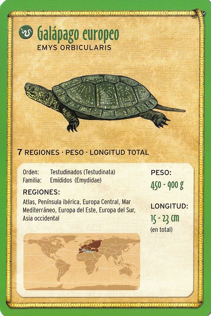 galapago europeo