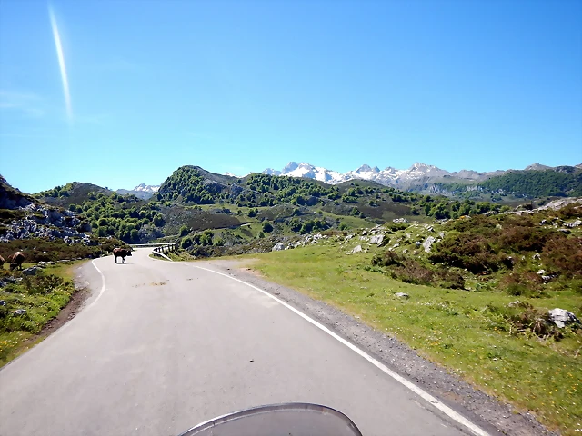 DSCN2651 DSCN2651
