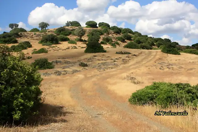 06, hacia el cerro, marca