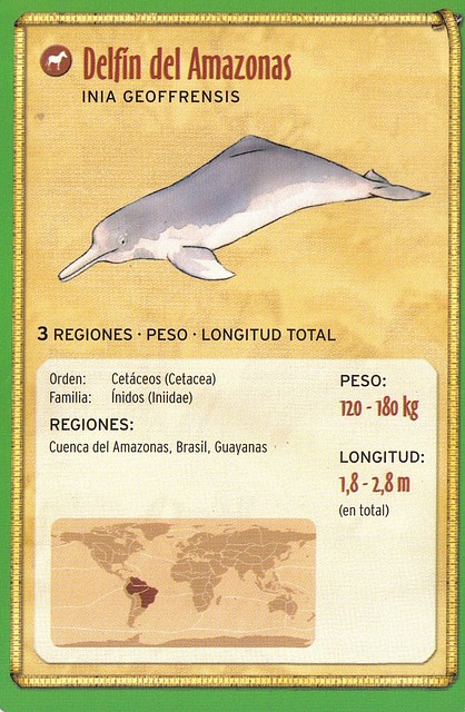 delfin del amazonas