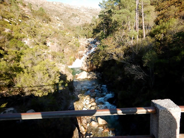 DSCN1643 DSCN1643