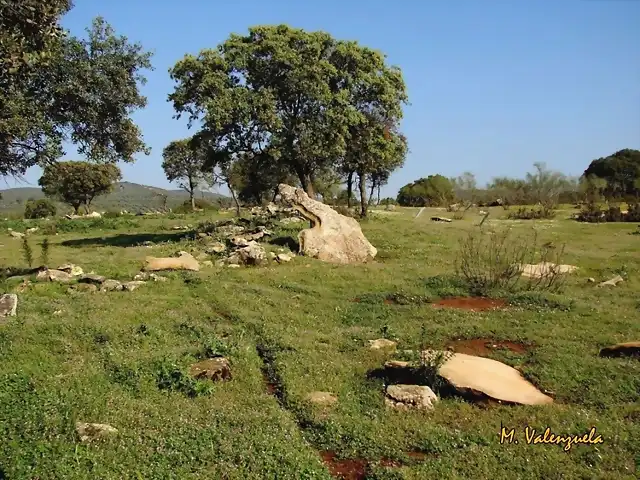 005, en piedra, marca