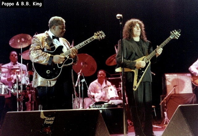 pappo_bbking pappo_bbking