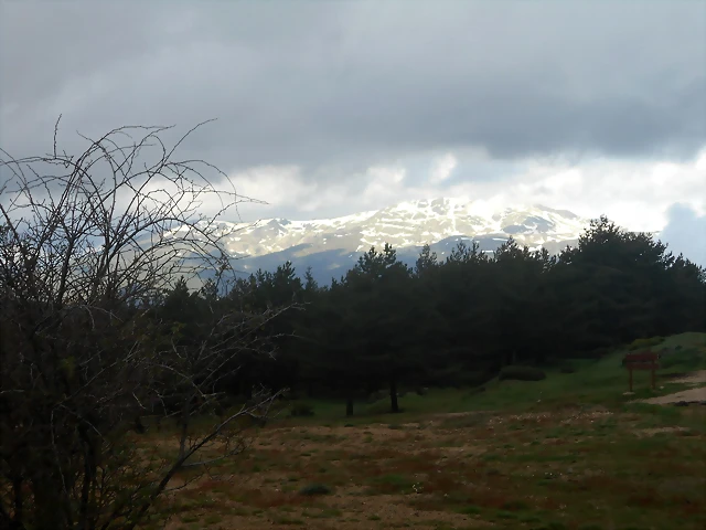 DSCN0139 DSCN0139