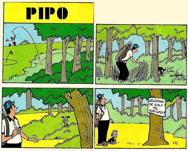 pipo