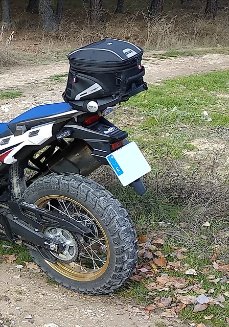 Trans_GIVI_det