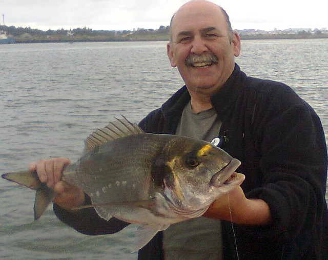 Dorada 16-08-2010 3.7 kg