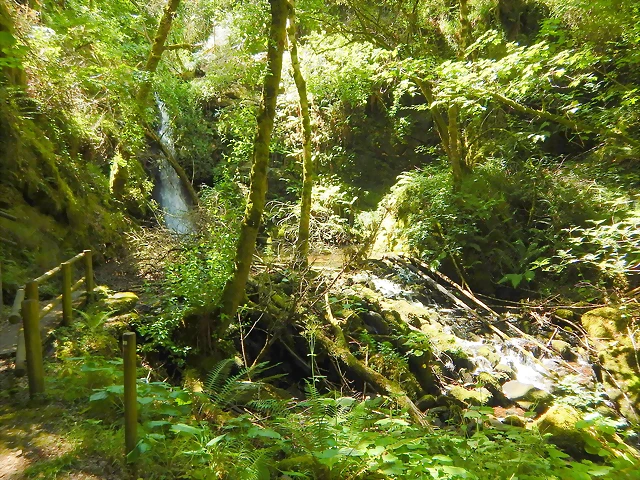DSCN7645 DSCN7645