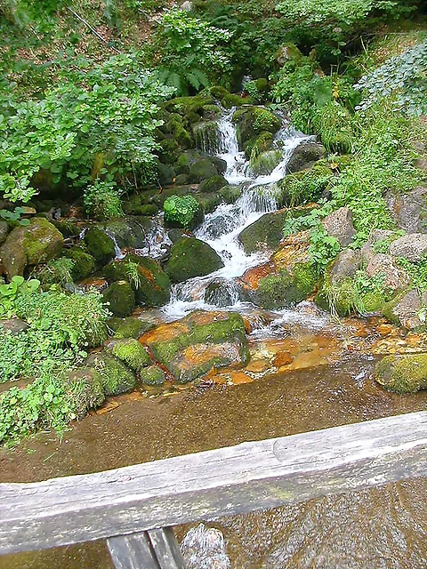 DSCN3834 DSCN3834