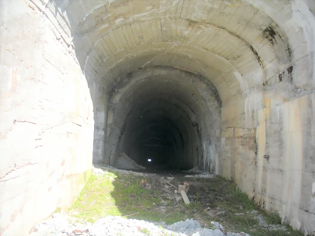 DSCN5113 DSCN5113