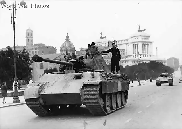 Panther_215_rome_44_4