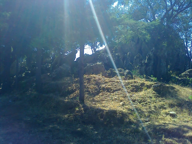 Foto0270 Foto0270