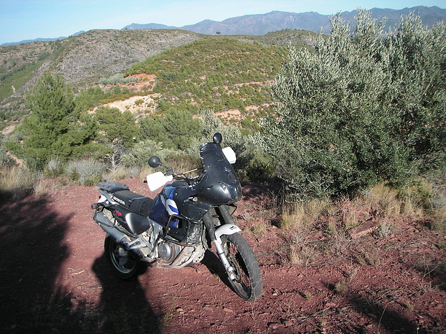 reyes 048 reyes 048