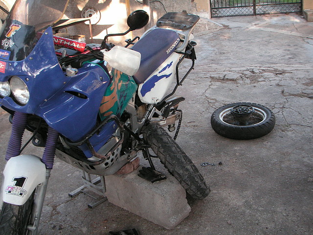 reyes 054 reyes 054
