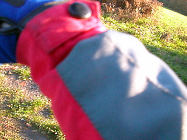 DSCN9376 DSCN9376