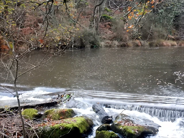DSCN1820 DSCN1820