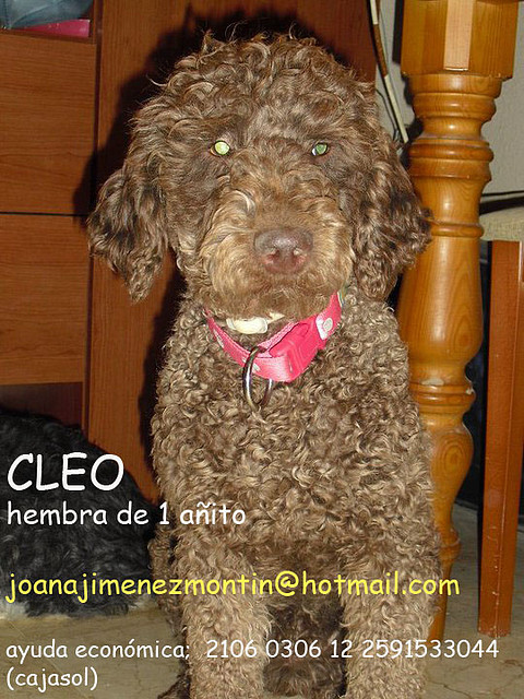 CLEO Sevilla