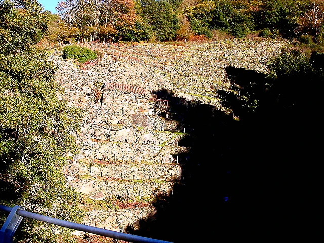 DSCN6507 DSCN6507
