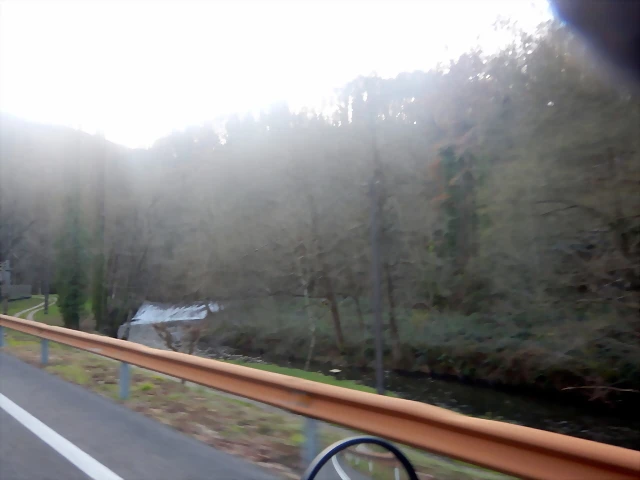 DSCN2389 DSCN2389