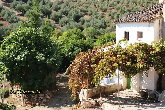 01, cortijo de merino, marca