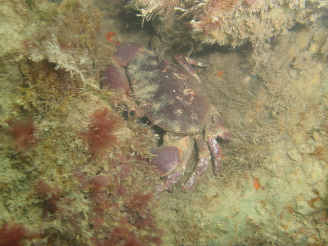 P7010020 P7010020