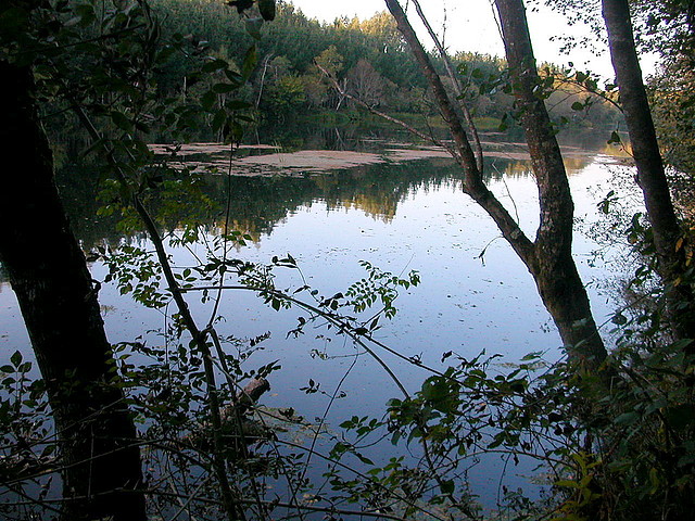 DSCN7859 DSCN7859