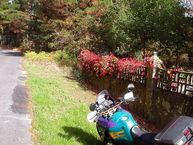 DSCN7496 DSCN7496