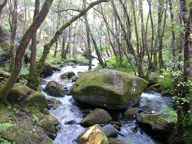 DSCN2434 DSCN2434