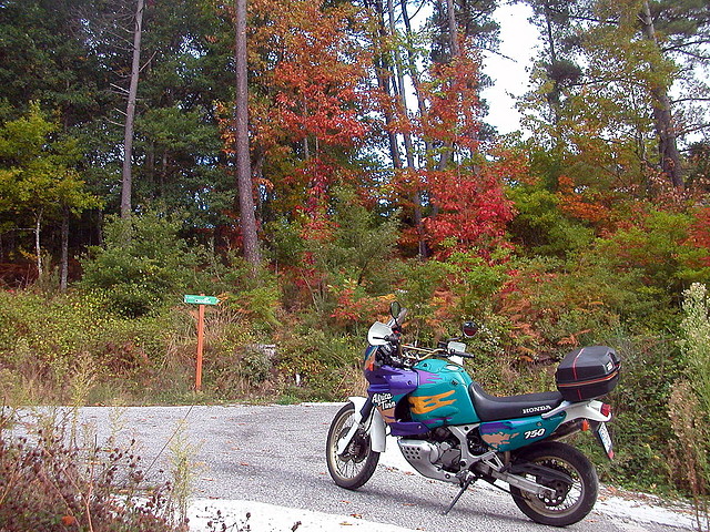 DSCN7485 DSCN7485