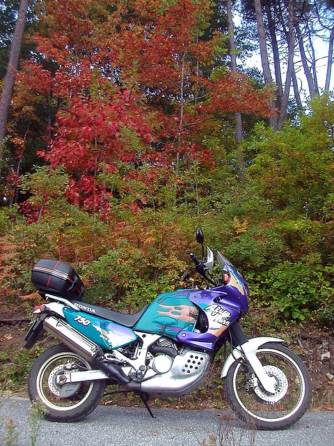 DSCN7486 DSCN7486