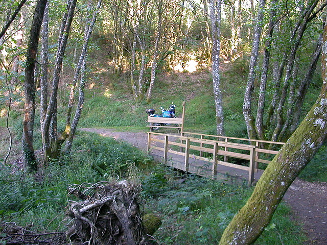 DSCN2463 DSCN2463