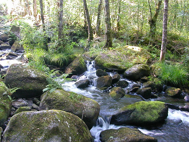 DSCN2402 DSCN2402