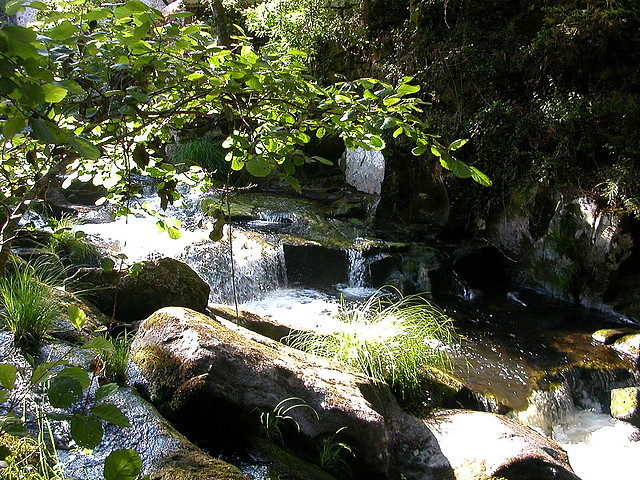 DSCN2415 DSCN2415
