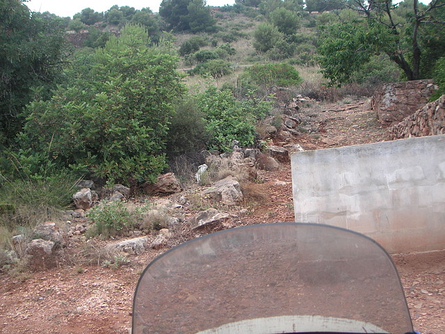 Chilches 049