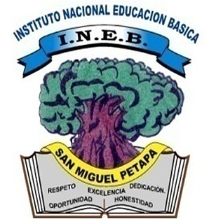 Logo INEB SMP